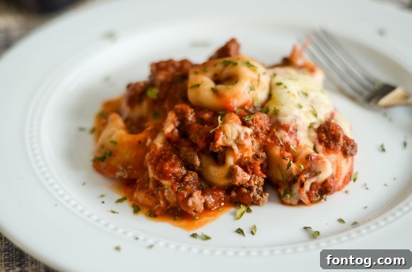 Uncooked refrigerated tortellini, perfect for a bake