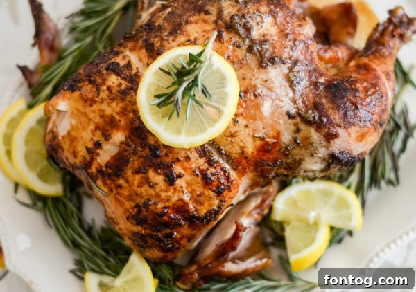 pellet grill rotisserie 