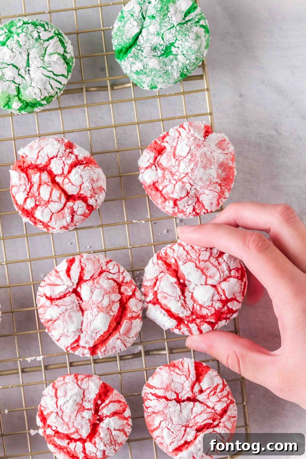 christmas crinkle cookies