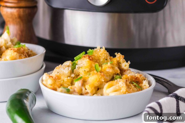 Ninja Foodi Multi-Cooker