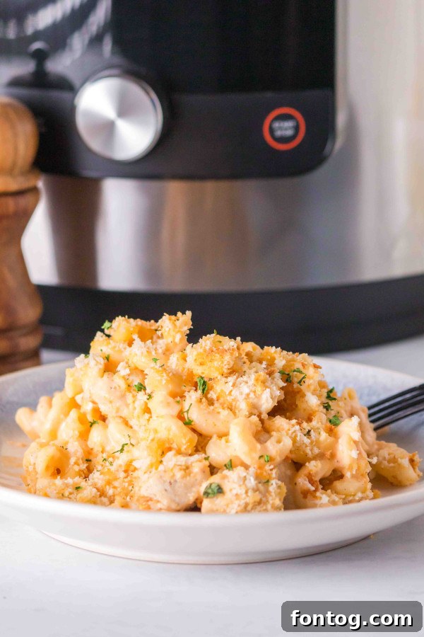 A bowl of reheated Ninja Foodi Buffalo Macaroni and Cheese with fresh cheese on top.