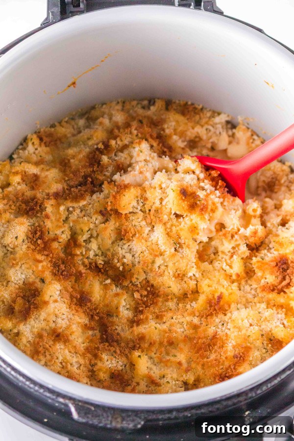 A serving spoon scoops a generous portion of Ninja Foodi Buffalo Macaroni and Cheese from the pot.