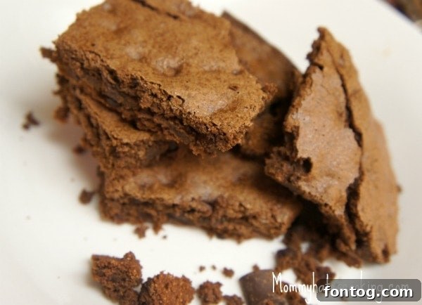 Gluten-Free Chocolate Chip Brownies