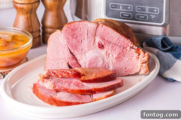 Close-up of brown sugar slow cooker ham slices