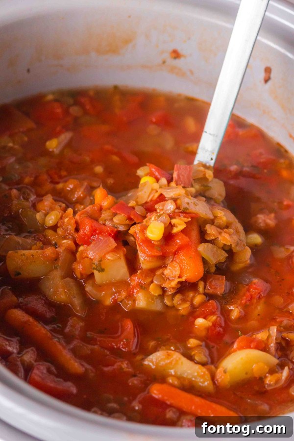 slow cooker ham and lentil soup