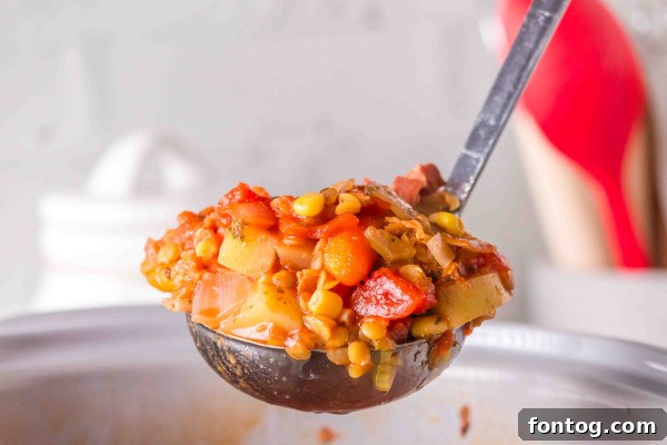 slow cooker ham and lentil soup