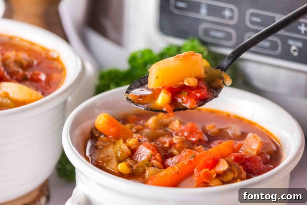 slow cooker ham and lentil soup