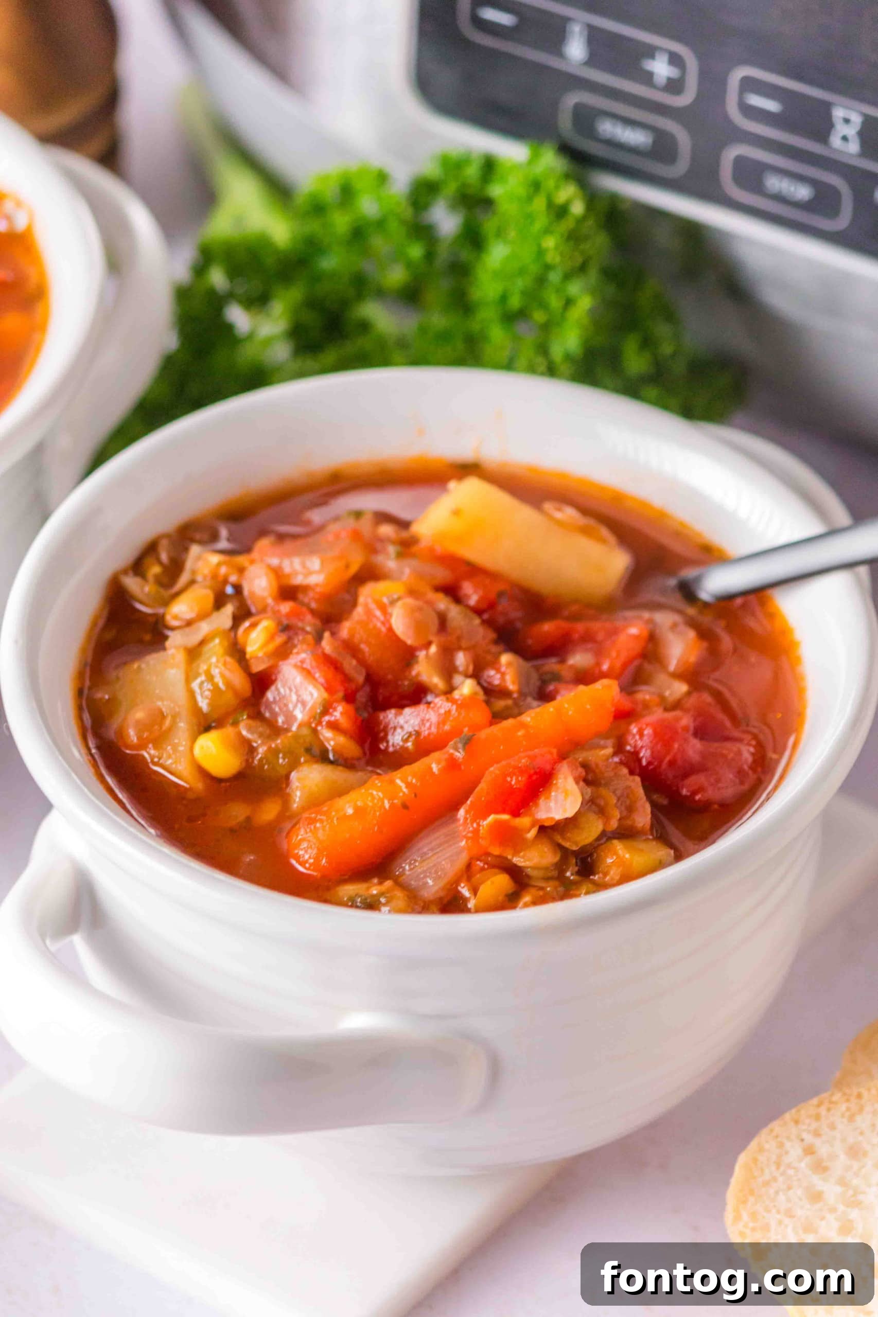 Slow Cooker Ham and Lentil Soup