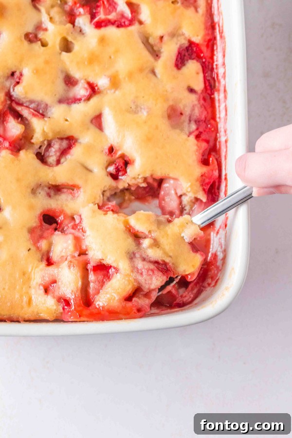 closeup of the gluten-free strawberry cobbler's biscuit topping