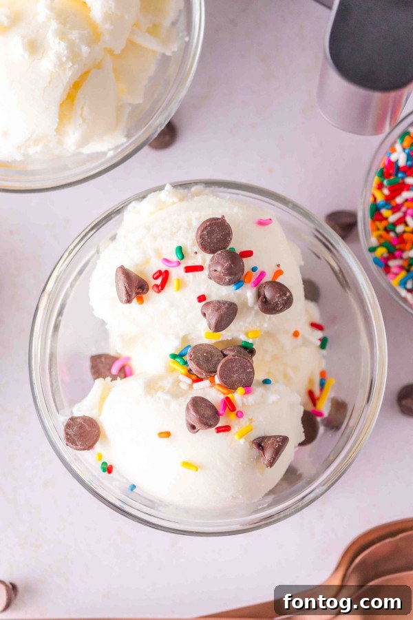 Ninja Creami Vanilla Ice Cream Recipe