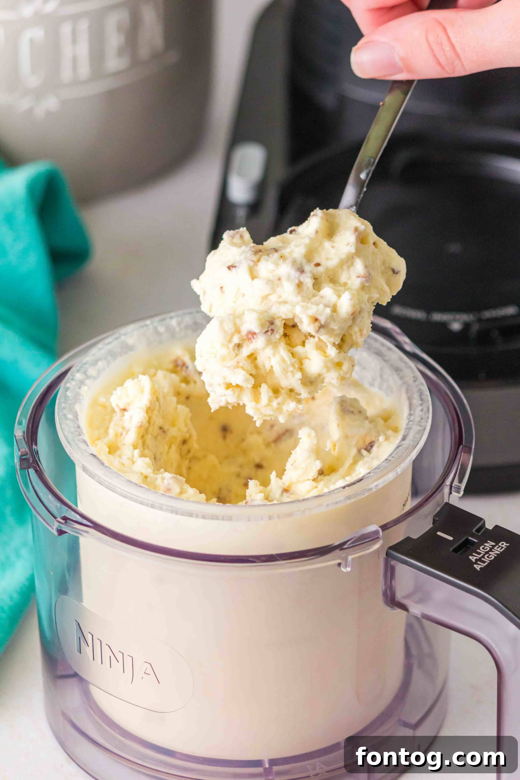 Ninja Creami Butter Pecan Ice Cream