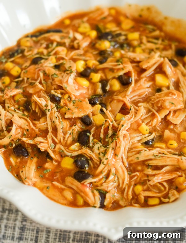 Set-and-Forget Gluten-Free Chicken Enchilada Casserole 2 gluten free crockpot chicken enchilada casserole, easy one-pot dinner