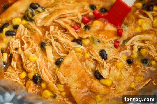 Set-and-Forget Gluten-Free Chicken Enchilada Casserole 4 gluten-free label check for crockpot chicken enchilada