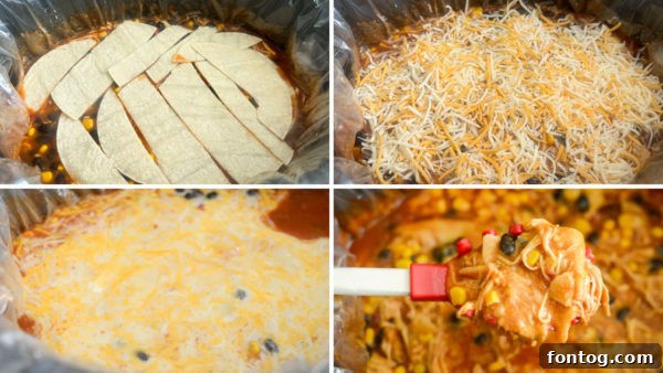 Set-and-Forget Gluten-Free Chicken Enchilada Casserole 6 shredded chicken for slow cooker enchilada
