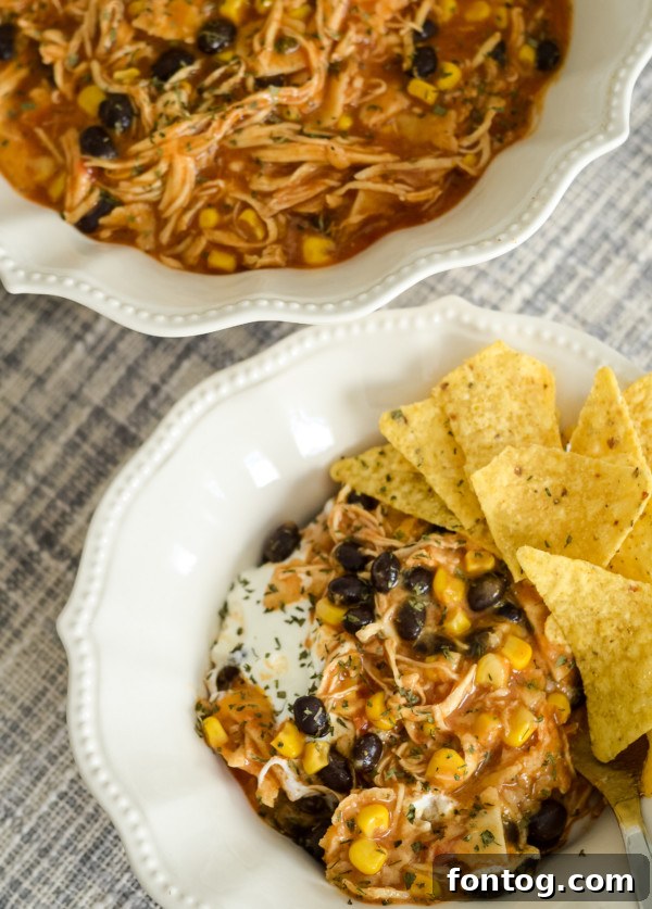 Set-and-Forget Gluten-Free Chicken Enchilada Casserole 9 crockpot chicken enchilada casserole in a bowl