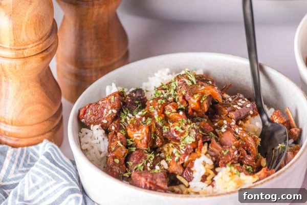Beef Teriyaki Slow Cooker Leftovers