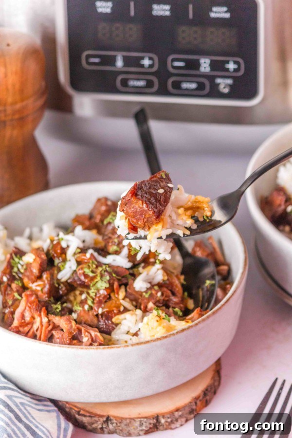 Delicious Beef Teriyaki Slow Cooker