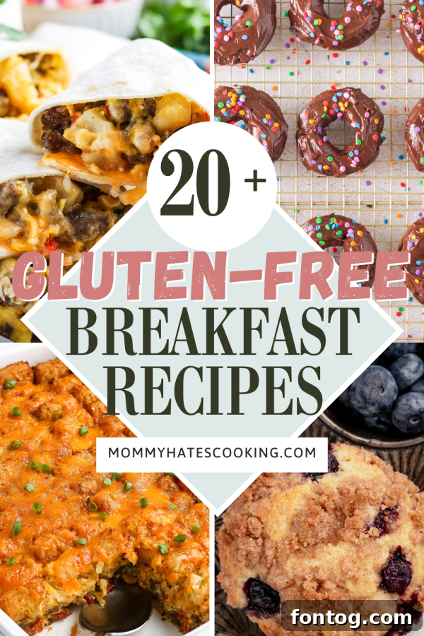 A selection of various gluten-free breakfast dishes, showcasing variety