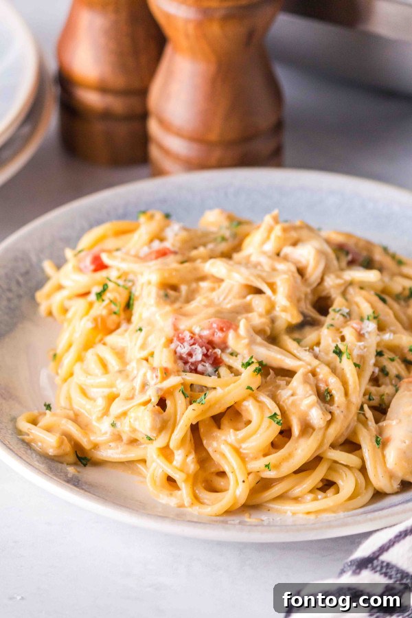 Set It And Forget It Gluten-Free Chicken Spaghetti 2 delicious gluten-free crockpot chicken spaghetti