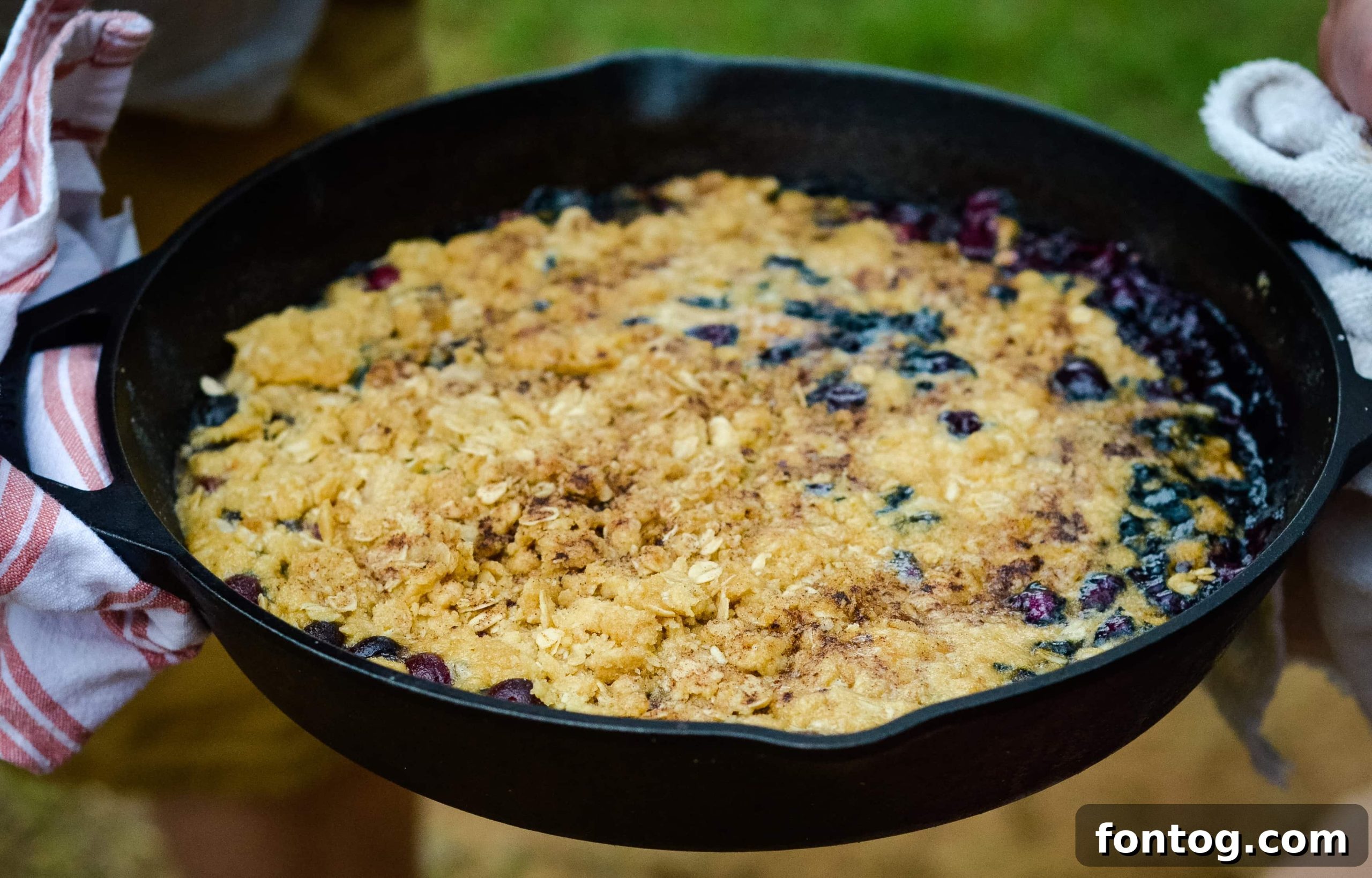 Campfire Blueberry Crisp