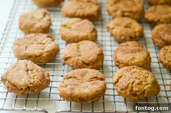 A bag of gluten-free all-purpose flour beside measuring cups, emphasizing the importance of flour choice in GF baking.