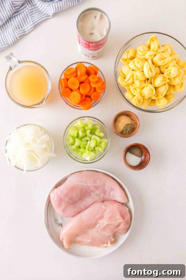 chicken tortellini soup in slow cooker gluten free