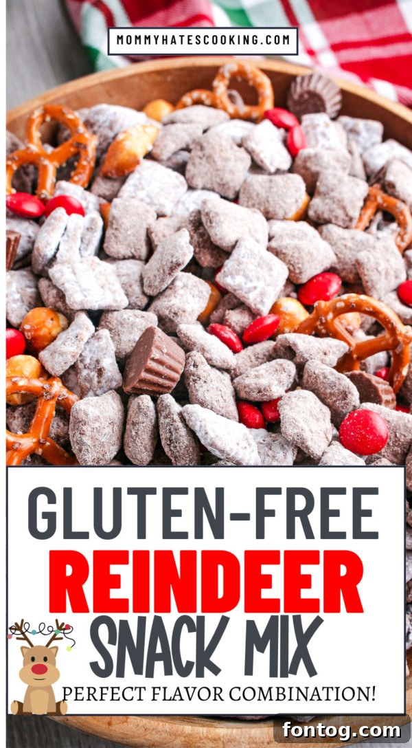 Santa's Gluten Free Reindeer Fuel 12 Large image of gluten-free reindeer chow mix with pretzels, peanut butter cups, and Chex cereal for a festive holiday snack.
