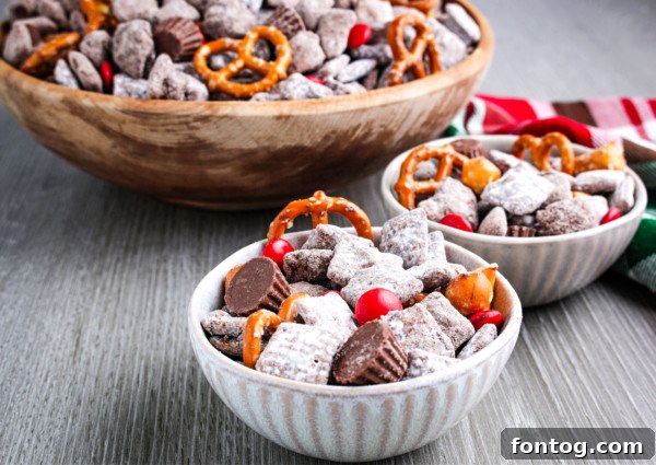 Santa's Gluten Free Reindeer Fuel 8 Gluten-free reindeer chow mix with pretzels and puppy chow in a festive serving bowl.