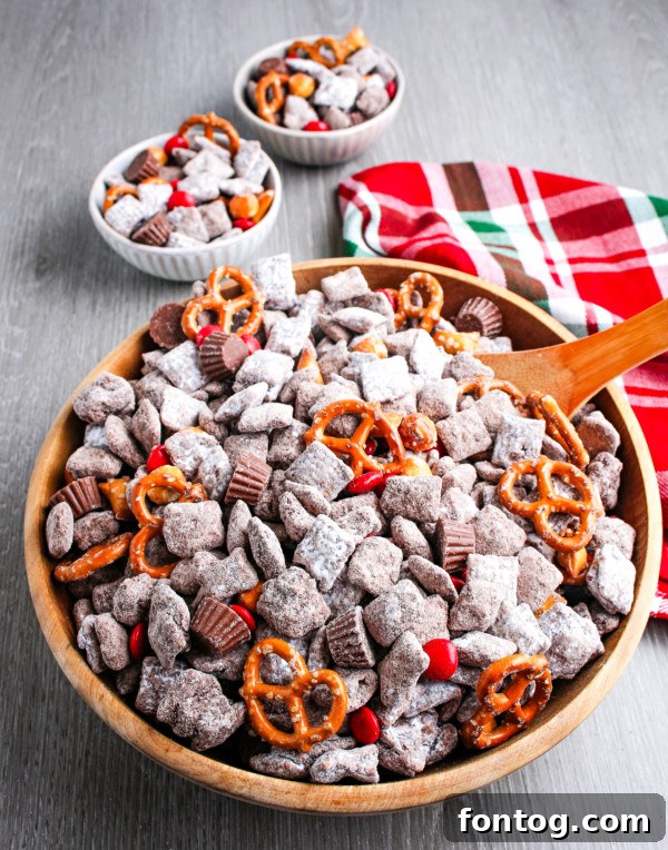 Santa's Gluten Free Reindeer Fuel 9 Gluten-free reindeer chow mix artfully presented for gift-giving, featuring pretzels and puppy chow.