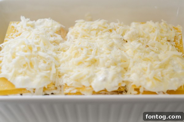 close-up of lasagna layers being assembled