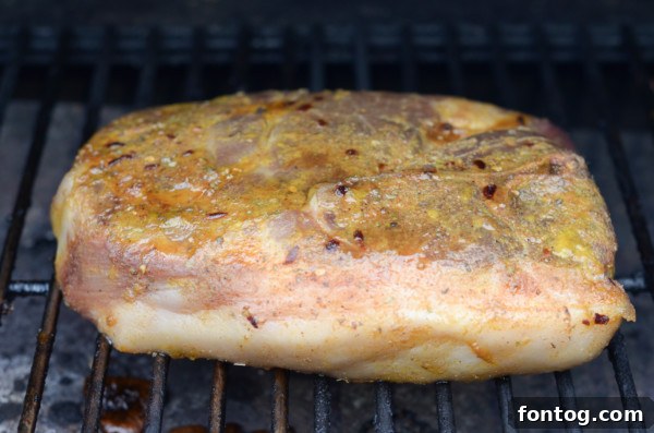 pellet grill smoked pork carnitas on pellet grill