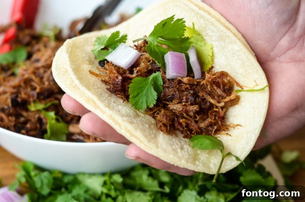 pellet grill smoked pork carnitas in tortilla with onions and cilantro