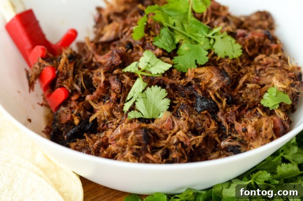 pellet grill smoked pork carnitas