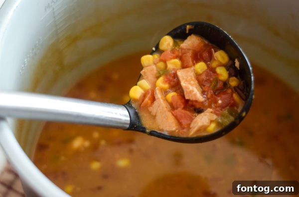 A pressure cooker filled with delicious enchilada soup, ready to be served.