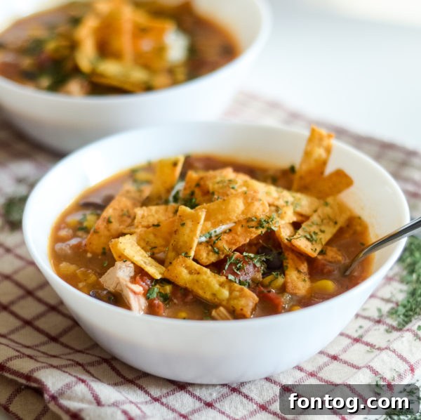 Another appealing shot of gluten-free enchilada soup, perfect for cold weather.