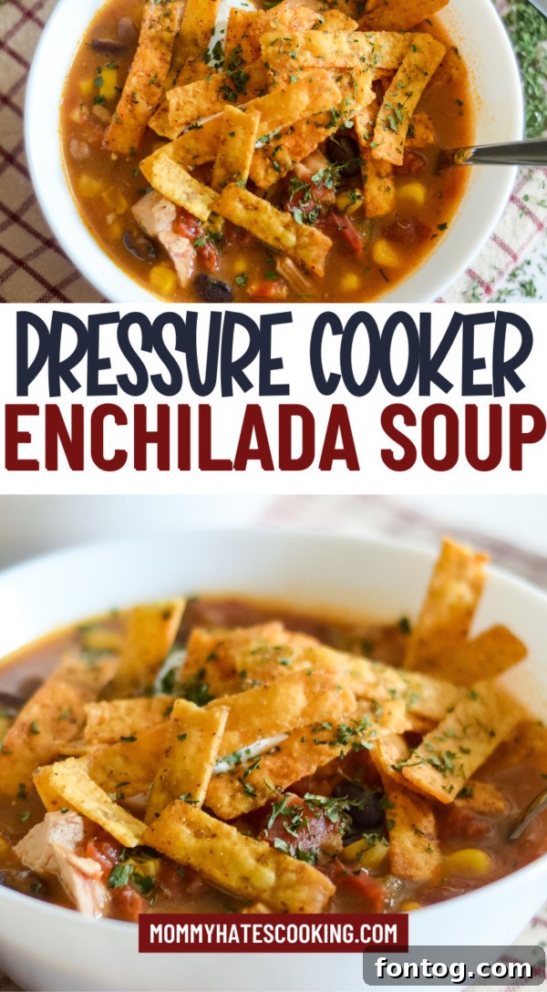 pressure cooker enchilada soup