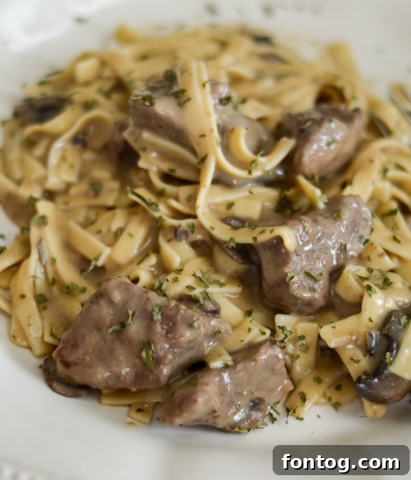 pressure cooker beef stroganoff ready to serve