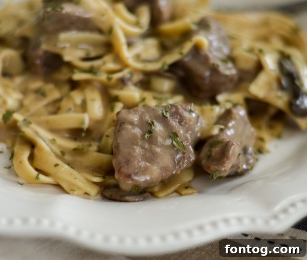 pressure cooker beef stroganoff