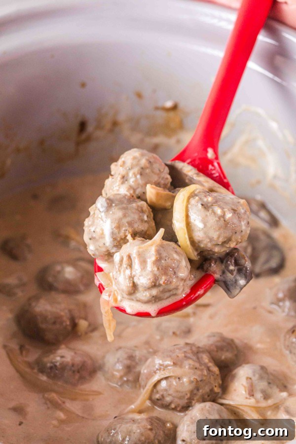 gluten free slow cooker beef stroganoff