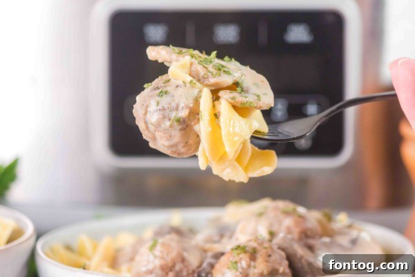 gluten free slow cooker beef stroganoff