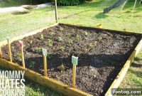 Our Garden Takes Root