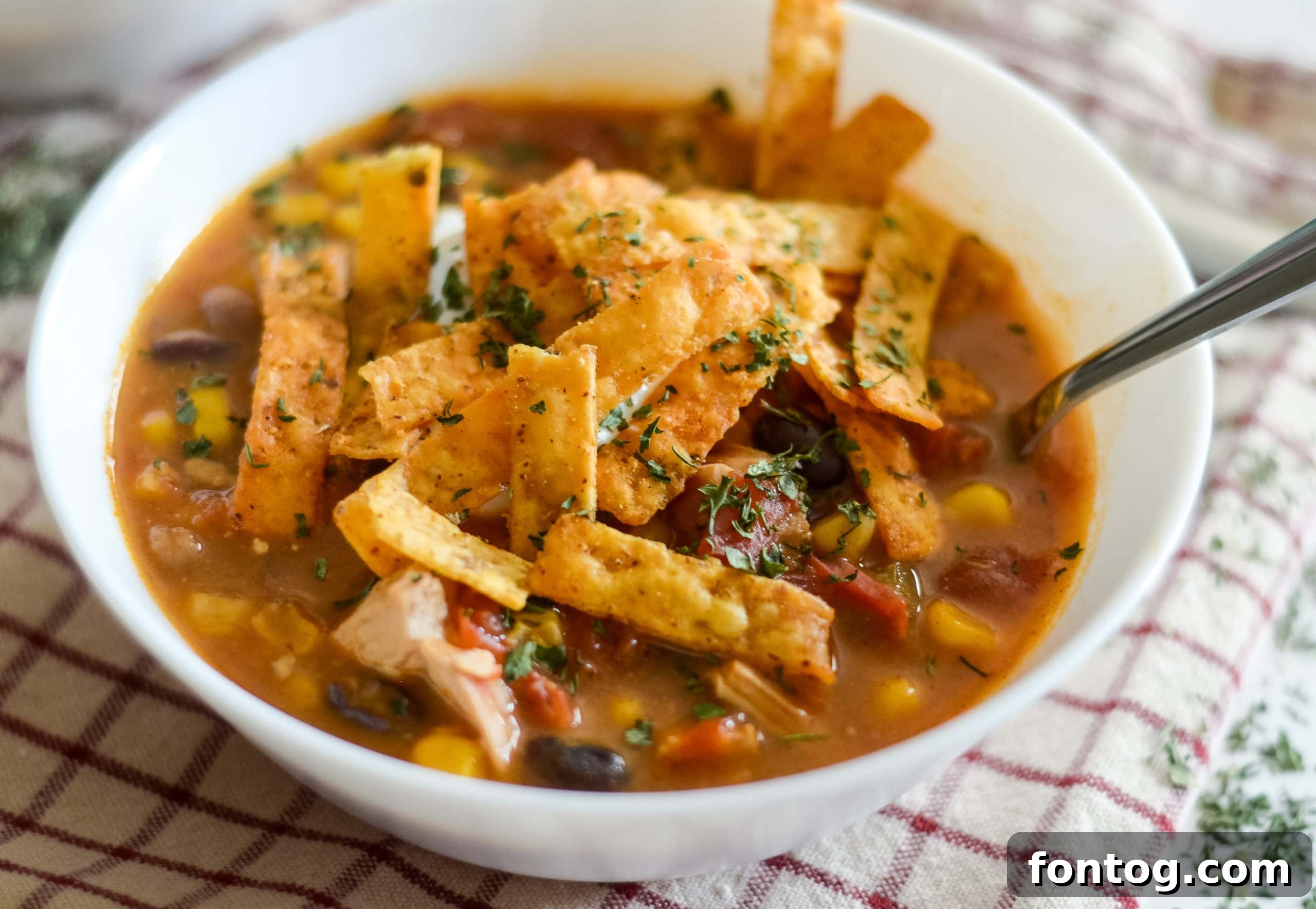 Ninja Foodi Chicken Enchilada Soup