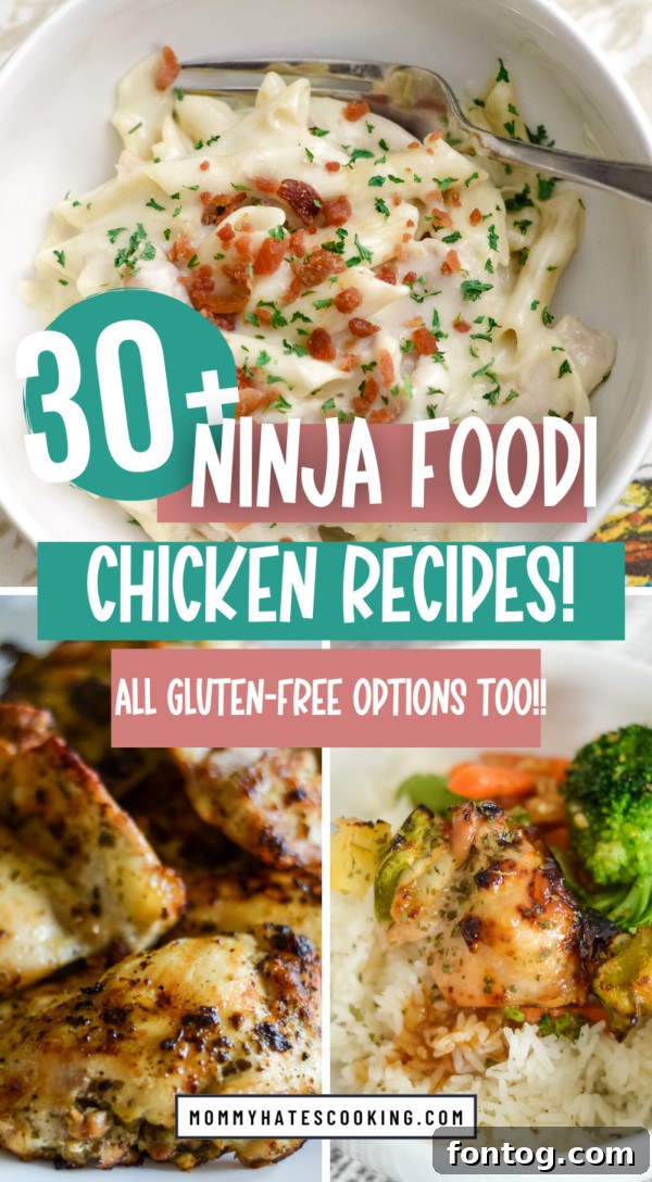 ninja foodi chicken recipes