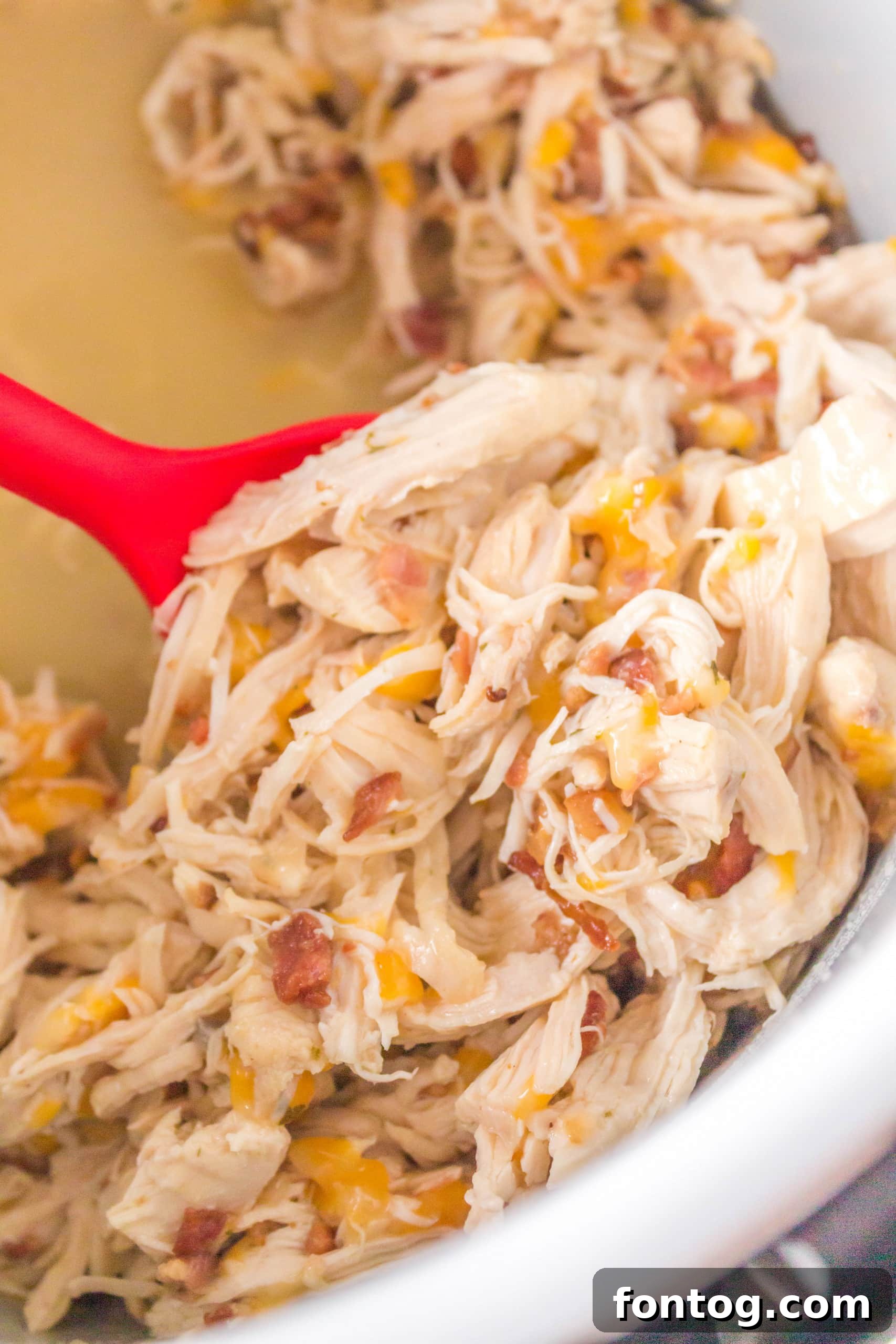 Ninja Foodi Ranch Chicken