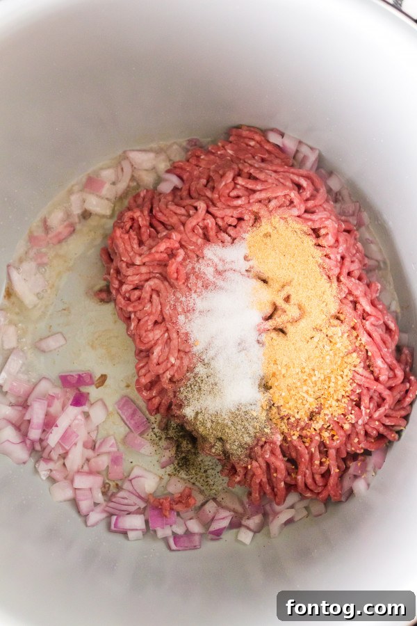 pressure cooker cheese dip