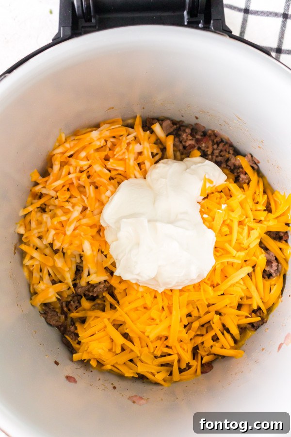 pressure cooker cheese dip