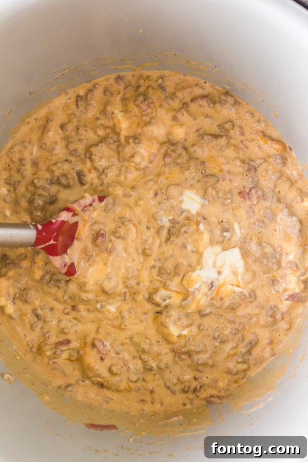 pressure cooker cheese dip