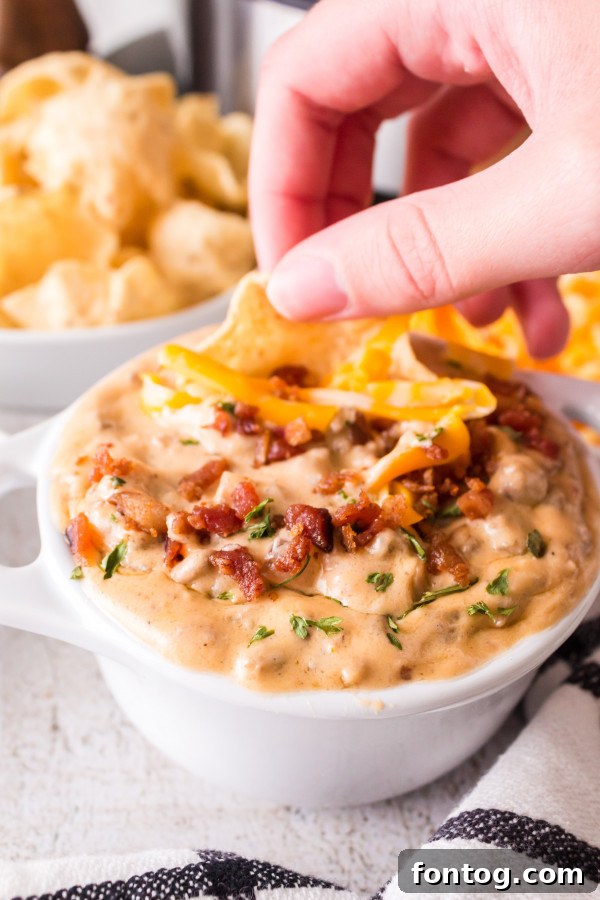pressure cooker cheeseburger dip