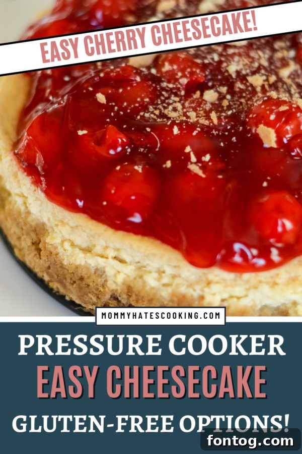 Close-up of a pressure cooker cheesecake, perfectly cooked and ready for chilling.