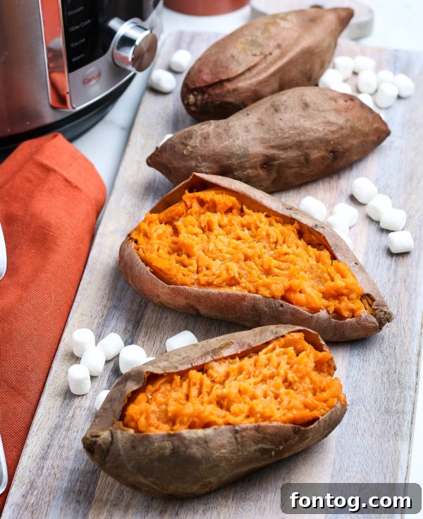 Speedy Pressure Cooker Sweet Potato Perfection 4 different models of electric pressure cookers, emphasizing their interchangeability for this recipe